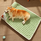 Calming Dog Bed – Soft Luxury Pet Mat with Pillow & Removable Washable Cover