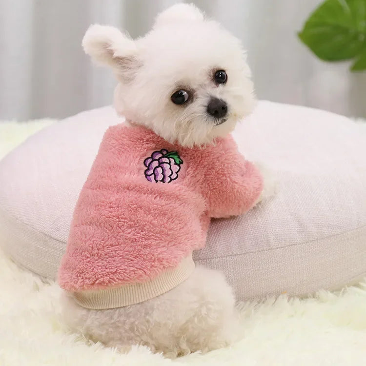 Small Dog Clothes – Warm Puppy Coat & Hoodie Outfit