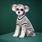 MerryPaws Knit Sweater – Warm Winter Pullover for Cats & Small Dogs
