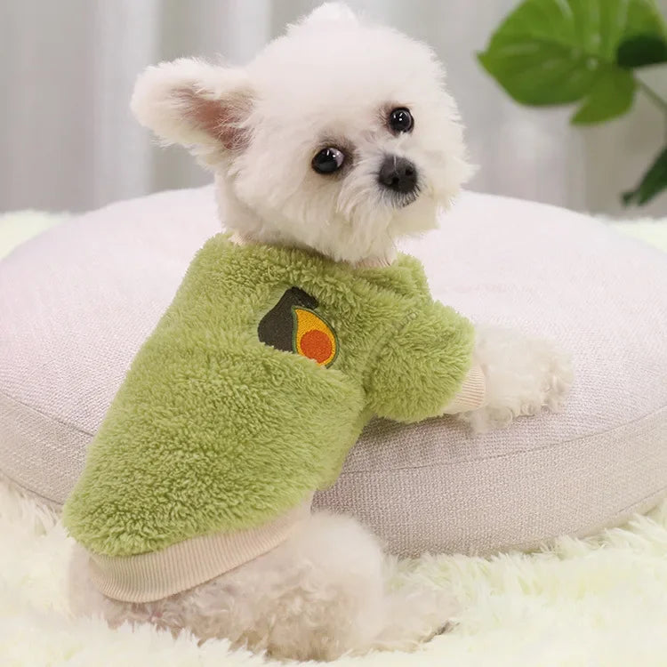 Small Dog Clothes – Warm Puppy Coat & Hoodie Outfit
