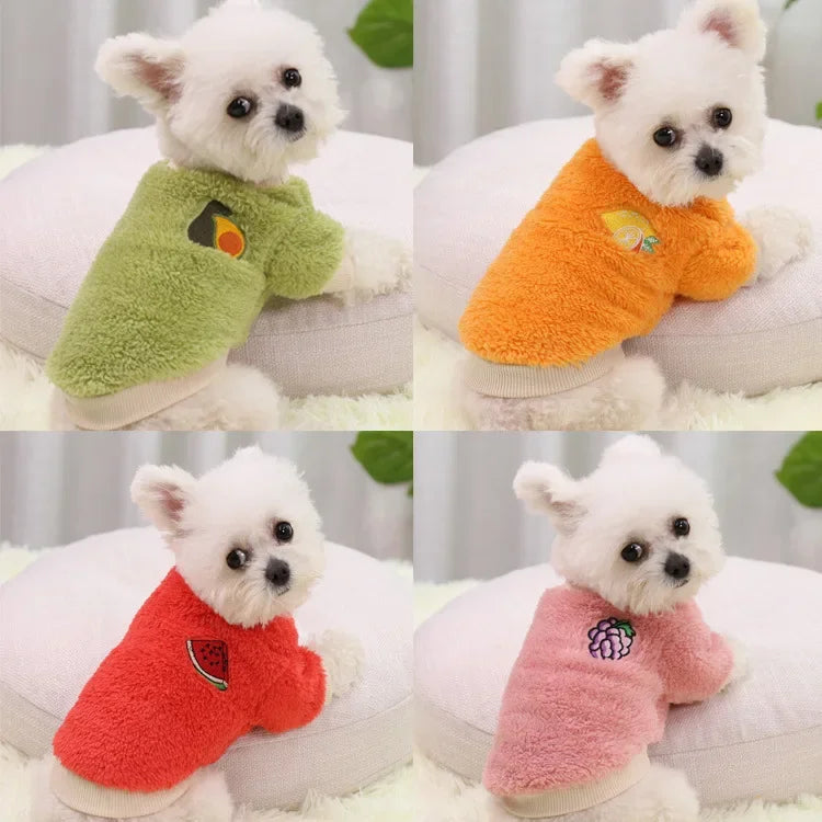 Small Dog Clothes – Warm Puppy Coat & Hoodie Outfit