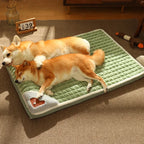 Calming Dog Bed – Soft Luxury Pet Mat with Pillow & Removable Washable Cover