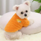 Small Dog Clothes – Warm Puppy Coat & Hoodie Outfit