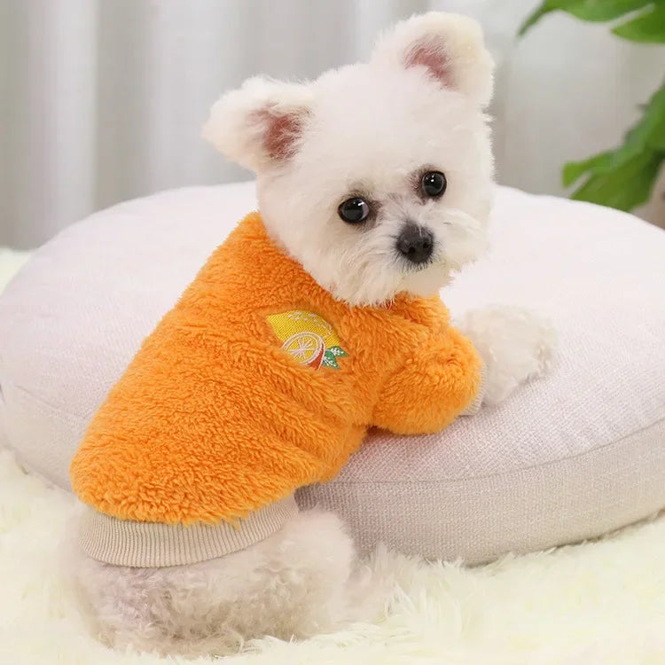 Small Dog Clothes – Warm Puppy Coat & Hoodie Outfit