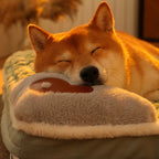 Calming Dog Bed – Soft Luxury Pet Mat with Pillow & Removable Washable Cover