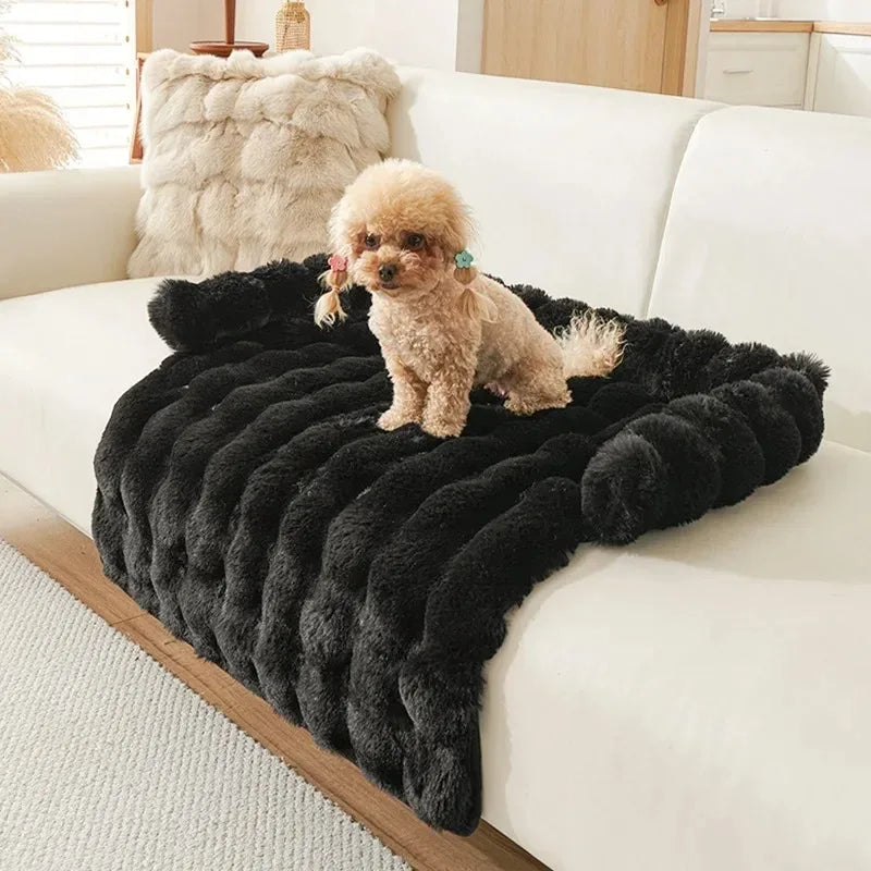Dog Bed – Cozy Cushion Basket for Small, Medium & Large Breeds