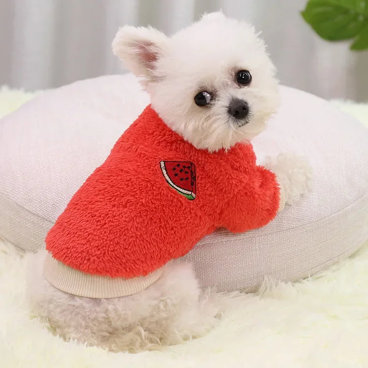 Small Dog Clothes – Warm Puppy Coat & Hoodie Outfit